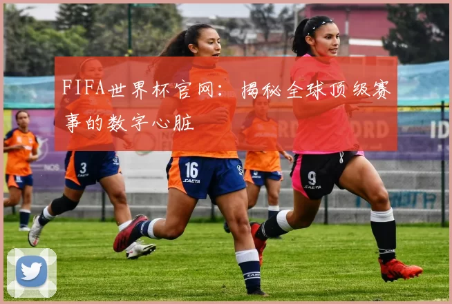 FIFA世界杯官网：揭秘全球顶级赛事的数字心脏