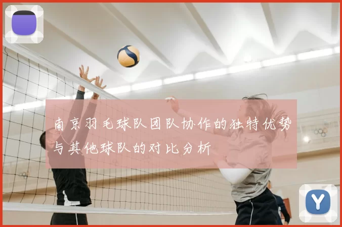 南京羽毛球队团队协作的独特优势与其他球队的对比分析