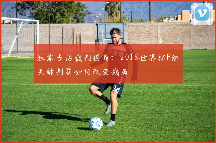 独家专访裁判视角：2018世界杯F组关键判罚如何改变战局