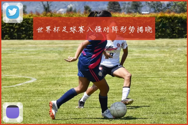 世界杯足球赛八强对阵形势揭晓
