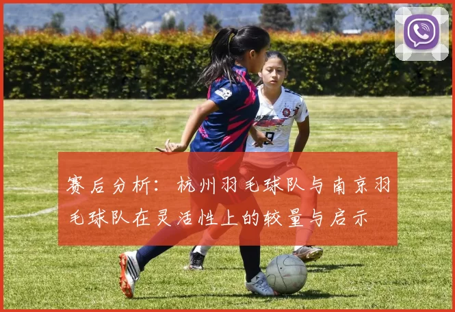 赛后分析：杭州羽毛球队与南京羽毛球队在灵活性上的较量与启示