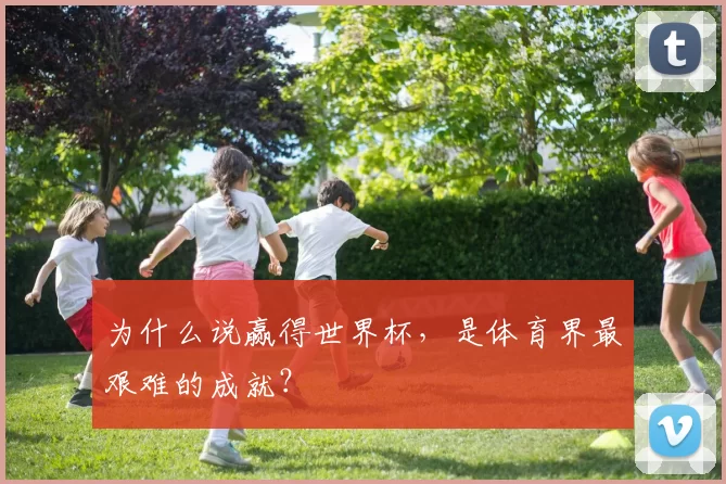 为什么说赢得世界杯，是体育界最艰难的成就？