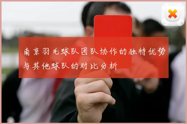 南京羽毛球队团队协作的独特优势与其他球队的对比分析