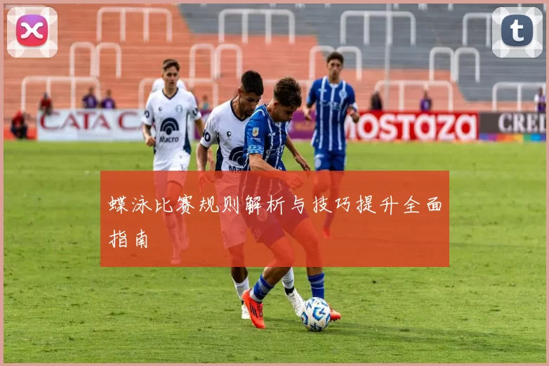 蝶泳比赛规则解析与技巧提升全面指南