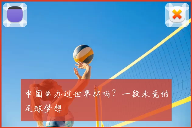 中国举办过世界杯吗?一段未竟的足球梦想