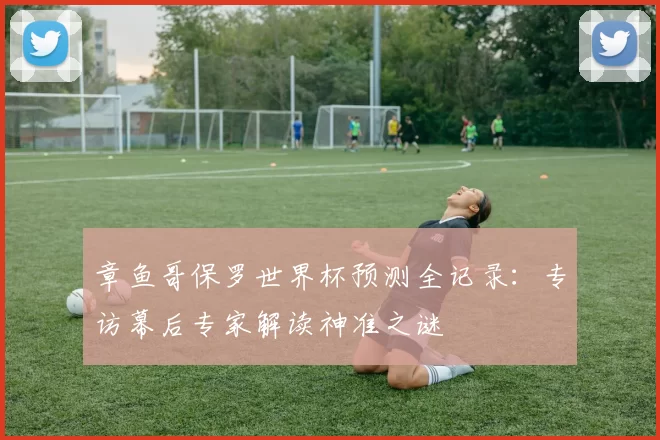 章鱼哥保罗世界杯预测全记录:专访幕后专家解读神准之谜