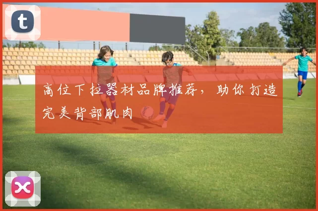 高位下拉器材品牌推荐，助你打造完美背部肌肉